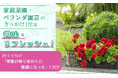 家庭菜園・ベランダ園芸のきっかけ1位は「趣味・リフレッシュ」！約44%が「季節の移り変わりに敏感になった」と回答