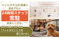 ペットホテル利用者の約87%が「24時間スタッフ常駐」を重要だと回答。利用する際の不安1位は「ペットがストレスを感じないか」