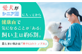 愛犬がシニア期に入ってから健康面で気になることが「ある」飼い主は約6割。最も多い悩みは「歯や口のトラブル」