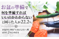 お盆の準備で「何を準備すればいいのかわからない」と困った人が22.2%。お盆の行事を「大切にしたい」層は66.2%にのぼる