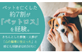 ペットを亡くした約7割が「ペットロス」を経験。きちんとした葬儀・火葬が「心の整理に役立った」と感じた経験者は約56%に