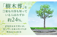「樹木葬」を言葉も内容も知っている人はわずか約24%。認知度はまだ低いが、知っている層の約41%が興味ありと回答