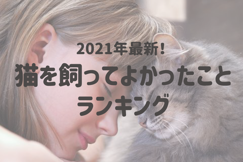 猫好きあるある 猫を飼ってよかったことランキング 癒される が43 8 で第一位 株式会社nexerのプレスリリース