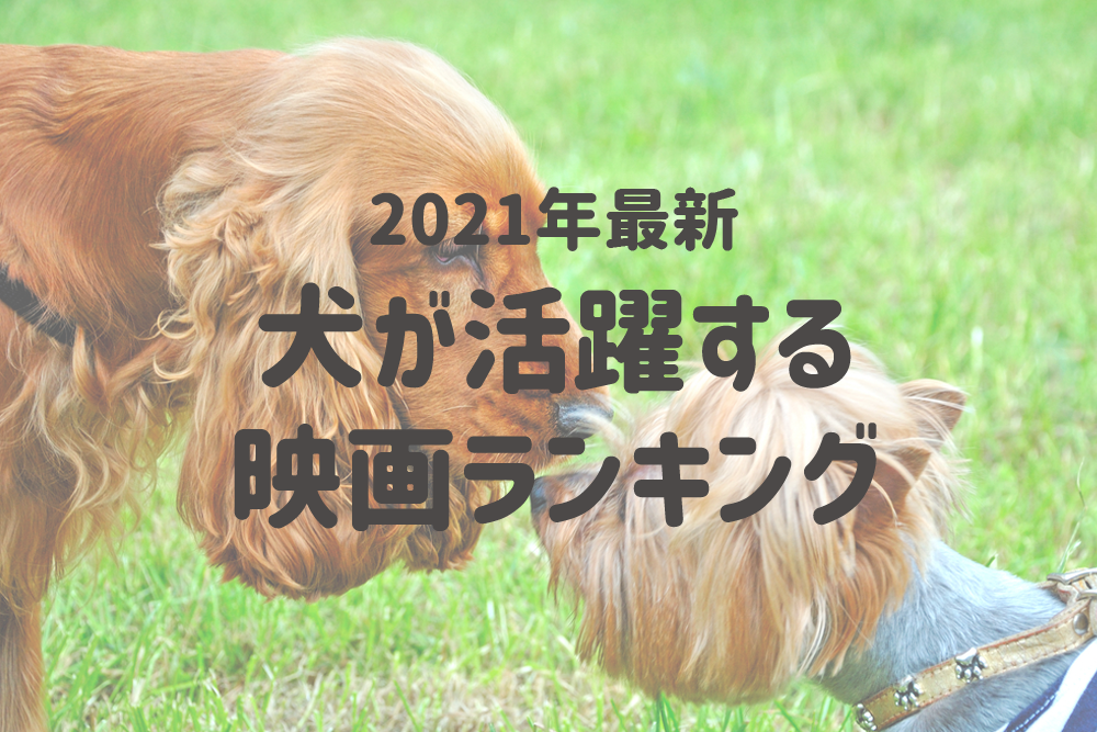 感動ものからコメディまで 犬が活躍する映画ランキング 第一位は不朽の名作 南極物語 株式会社nexerのプレスリリース