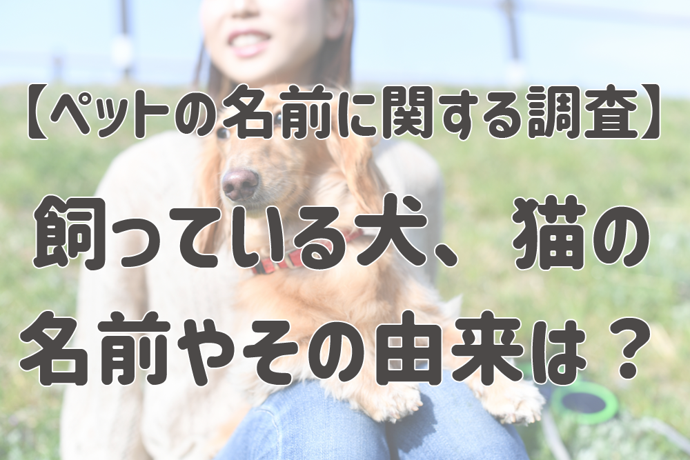 ペットの名前に関する調査 どのような名前が多い その由来は 株式会社nexerのプレスリリース