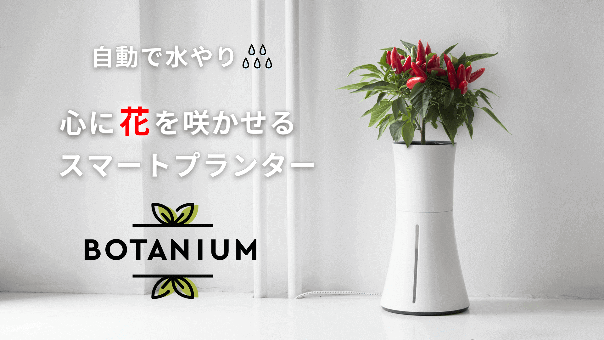 45％割引ホワイト系売れ筋アイテムラン botanium ボタニアム ローレルグリーン 花瓶 インテリア小物ホワイト系-OTA.ON