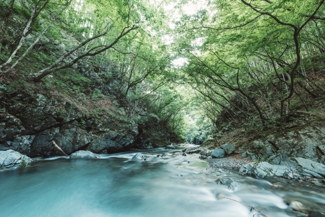 山梨県小菅村は多摩川源流の美しい水と豊かな自然に溢れている