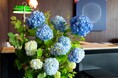江の島と湘南の海を眺めるホテルのイタリアンレストランで、“紫陽花”をテーマに味わう、イタリアンランチ＆アフタヌーンティー。