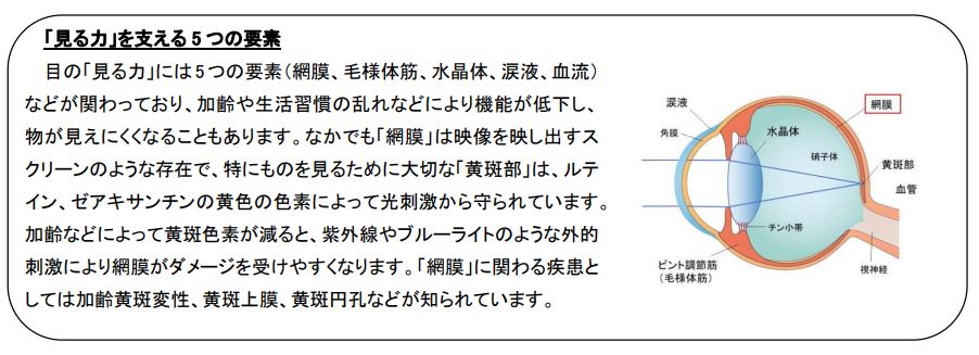 ロート初！くっきり見る力※１の改善に加え認知機能の一部である「判断