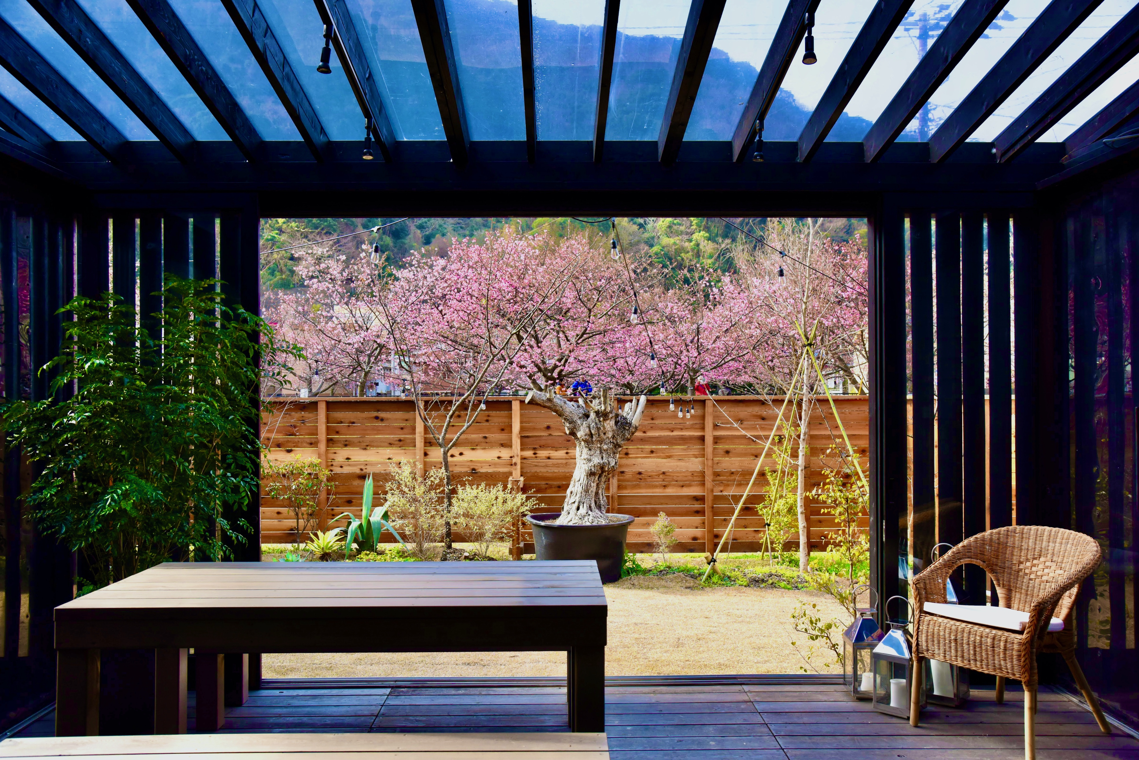 河津桜まつり会場は目の前 地方の観光資源 タイニーハウス を活用した宿泊体験施設 Tiny Base The River が新規オープン 株式会社 天城カントリー工房のプレスリリース