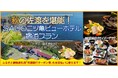 【佐渡汽船】SADO二ツ亀ビューホテル宿泊プラン発売