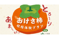 “まるは”の柿をどっさり収穫!JA佐渡と連携した「おけさ柿 収穫体験プラン」発売
