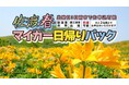 【佐渡汽船】2026年度春期間「佐渡マイカー日帰りパック」発売
