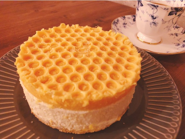 純粋蜂蜜レアチーズケーキを新発売 蜂蜜とチーズの相性が抜群 現在予約受付中 2月16日に発送開始 株式会社杉本フーズのプレスリリース