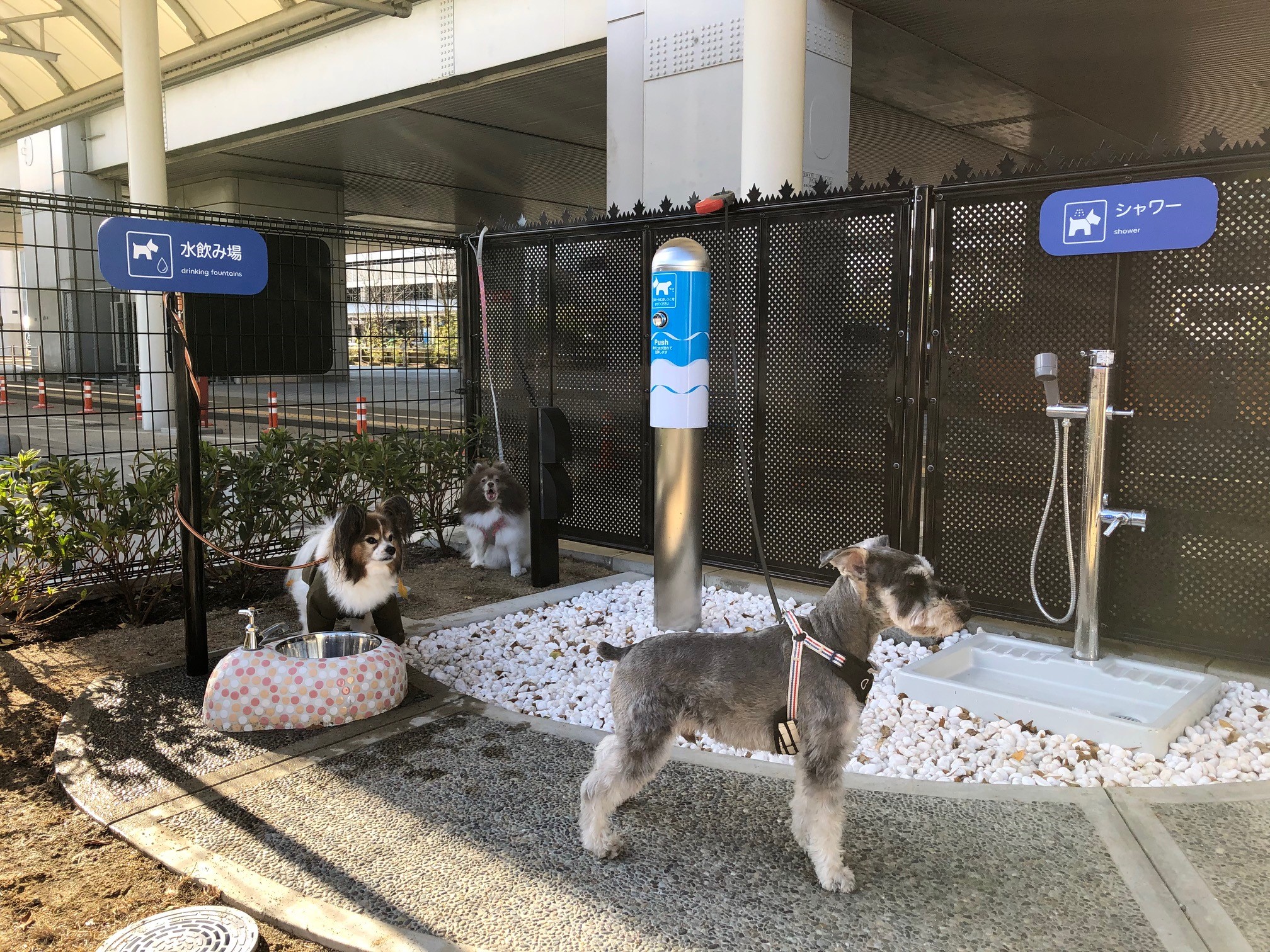 大阪国際空港内に国内空港初となる 愛犬専用トイレ を設置 関西エアポート株式会社のプレスリリース