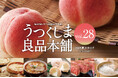 お中元や夏ギフトに最適!福島の夏の逸品が満載「うつくしま良品本舗2025夏カタログ」を刊行しました。