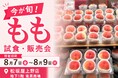 福島県産の桃を試食販売！「ふくしまフェア」松坂屋上野店にて「発見！ふくしま ももフェア」を8月7日(金)より3日間開催