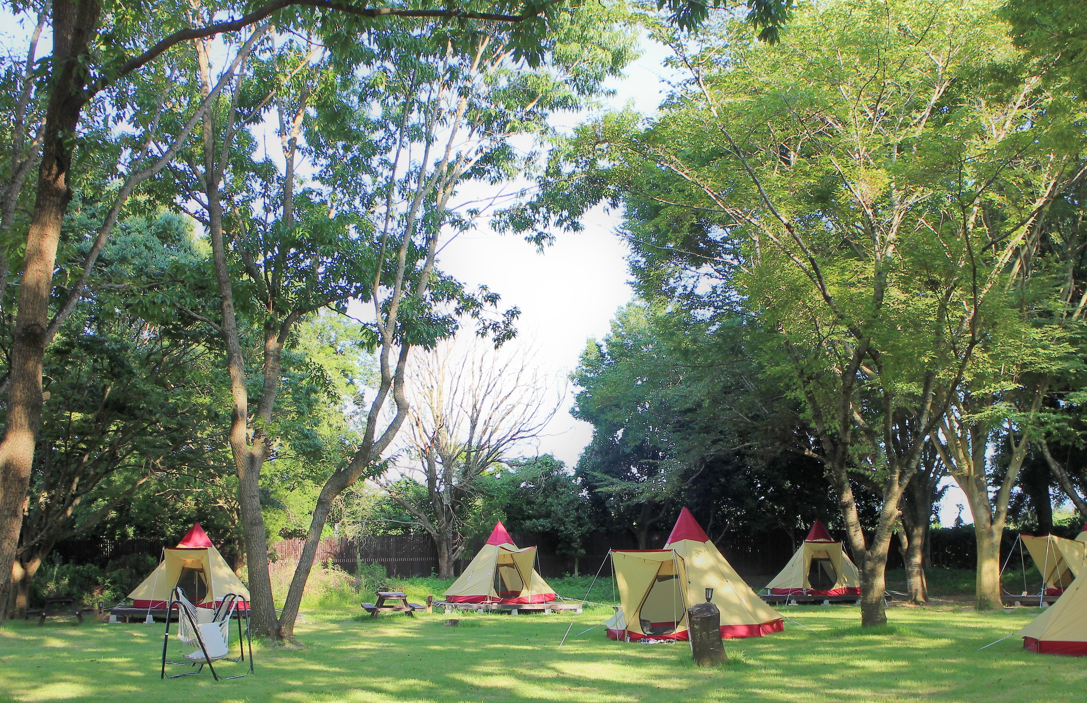 シルバニアファミリーをテーマにしたお泊りキャンプを開催 こもれび森のイバライド 株式会社ワールドインテック パークマネジメント事業本部のプレスリリース