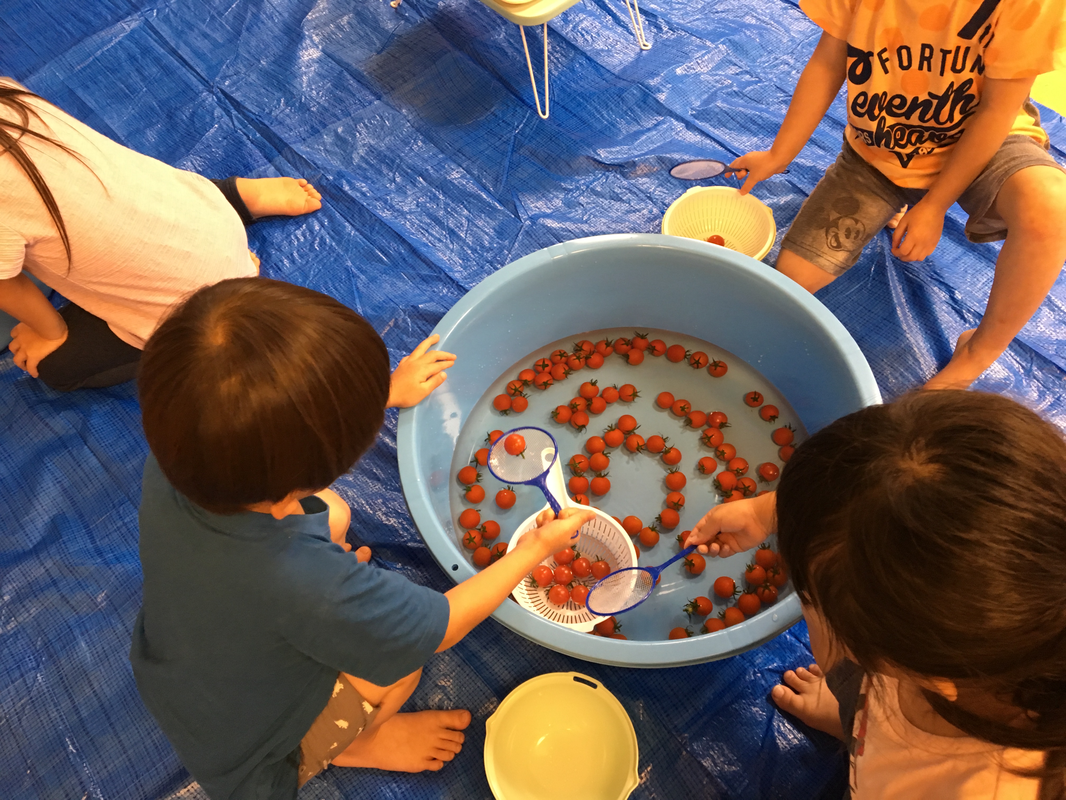 やさいと仲良し大作戦 と題し ミニトマトの食育イベントを明日葉保育園にて開催しました ソシオークホールディングス株式会社のプレスリリース