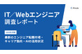 【IT/Webエンジニア調査】生成AI利用実態:9割以上は生成AIを業務活用、半数近くは個人で課金。「出社頻度」「年収推移」「注目企業」の傾向も公開