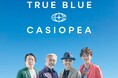 CASIOPEA、20年ぶりのオリジナルニューアルバム『TRUE BLUE』本日リリース!リード曲「SKY SO HIGH」MV本日同時公開!