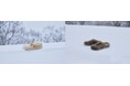 シアリングで冬支度を。BIRKENSTOCK の二つの人気モデルより、シアリングの新作が登場