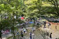 【愛知・瀬戸市】この夏イチバン楽しい思い出を！川遊び×団体BBQ　20名以上で2大特典丸ごと無料　ウッドデザインパーク岩屋堂