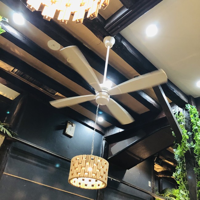 大型ファン、感染症対策も万全！