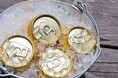 【8月4日はビヤの日！】夏休みはやっぱりBBQ＆ビールで乾杯！兵庫のグランピング場でお得なキャンペーンを行います。