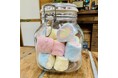 「メガ」で「カラフル」⁉メガマシュマロがレインボーに!!【ウッドデザインパーク岡崎】