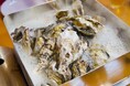 【2025年1月2日から5日の期間限定】驚愕の6,340g!?伊勢湾の目の前にある愛知県の『牡蠣小屋 WOOD DESIGN PARK 野間』で超特大の新メニュー「ガンガン焼き 武蔵」が登場!