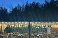 【愛知・瀬戸】BBQサイトが夏仕様にリニューアル!風鈴・提灯・冷感演出で快適空間、さらにナイトBBQは花火もプレゼント♪最大60名収容で貸し切りや団体利用も歓迎♪ウッドデザインパーク瀬戸
