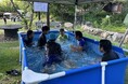 【全力夏遊び、はじまる!】BBQ×水遊び×虫取りまで1日満喫!さらにキッズプールが登場!自然まるごと楽しめるアウトドアパラダイス|ウッドデザインパーク瀬戸