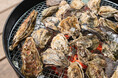 【兵庫県宍粟市】不漁でも妥協しない冬のごちそう体験！炭火焼き牡蠣＆カキフライ90分食べ放題＆グランピングで冬を満喫。〈ウッドデザインパーク与位〉