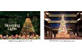 光の花が咲くイルミネーションで華やかに彩る 二子玉川ライズ クリスマス2024 「Blooming Lights」 2024年11月12日(火)~12月25日(水)