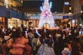 二子玉川ライズ クリスマス2024 5年ぶりにクリスマスツリー・イルミネーション点灯式を開催 クリスマスツリー「the Blooming Tree」が11月12日(火)から点灯開始