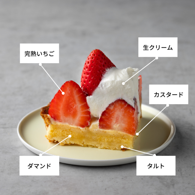 ＜太子堂店限定＞いちご山のクリスマスタルト　断面図
