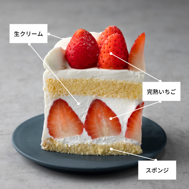 ICHIBIKOクリスマスケーキ　断面図