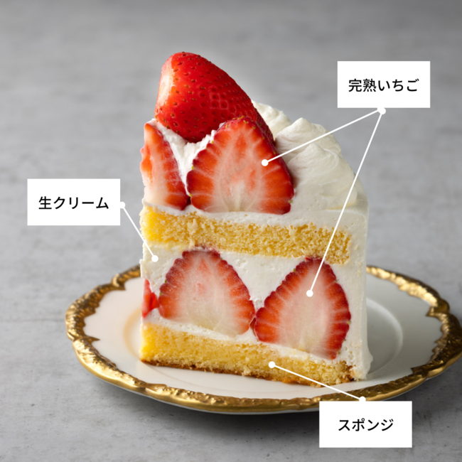 ＜太子堂店限定＞いちご山のクリスマスケーキ　断面図