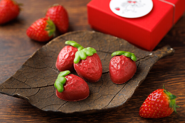 オンラインショップ限定 ICHIBIKOいちごチョコクランチ オンラインショップ限定 ICHIBIKOいちごチョコクランチ