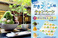 暑い夏には、和のかき氷。オリジナルアクリルコースターがもらえる「かき氷三昧(ざんまい)キャンペーン」を対象の店舗にて2025年7月1日(火)より開催いたします。