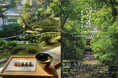 【土日祝限定】京都「浄住寺」新緑の特別公開にて、京菓匠「鶴屋吉信」の和菓子をご提供いたします。