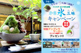暑い夏には、和のかき氷。今年は4店舗に拡大！オリジナルグッズがもらえる「かき氷三昧(ざんまい)キャンペーン」を2026年7月1日(水)より開催いたします。