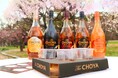 「万博記念公園 梅まつり」にチョーヤ梅酒が出店!利き梅酒イベント!チョーヤの梅を使った梅スイーツに梅パン祭!「CHOYA 大阪梅の陣2025」2月22-24日、3月1-2日の5日間開催!