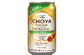 本格的な熟成感とキレで食事に合う梅酒ソーダテイスト「The CHOYA 酔わない本格梅酒ソーダ ノンアルコール」新発売～2026年9月22日（火）から全国新発売～