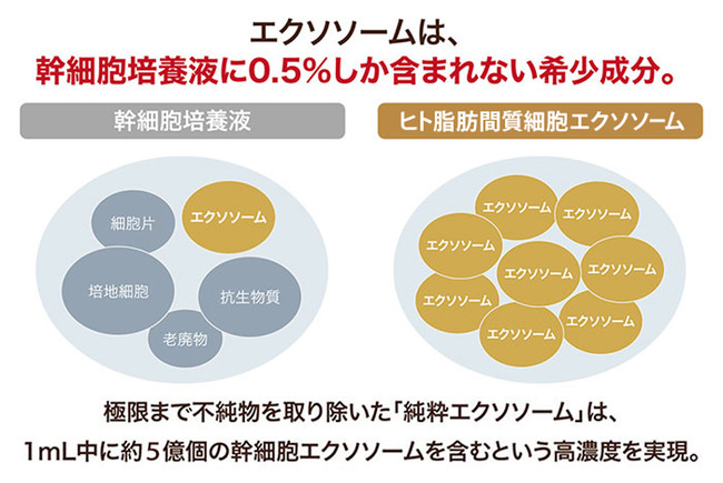 1200個が即完売の美容液。日本初“ヒト脂肪間質細胞エクソソーム”配合で