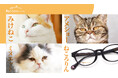 猫好きが悶絶!誕生から10年を迎えた愛眼のメガネ「ねころりんシリーズ」に新作登場!