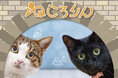 猫好き集まれ！愛眼の「ねころりん」メガネに公式キャラクター登場！メインクーンモデルも登場。