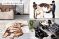 KANADEMONO×MIYOSHI RUG｜約18倍の当選倍率を記録した「世界にひとつのオーダー猫ラグ」待望の第2弾。AIと徳島の職人技の融合により、愛猫がビッグサイズのラグに！