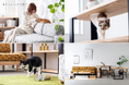 【KANADEMONO】ネコ穴付きシェルフや、爪とぎ対策不要な「猫の手も借りたいソファ」を発売開始。猫と暮らすリビングの提案を